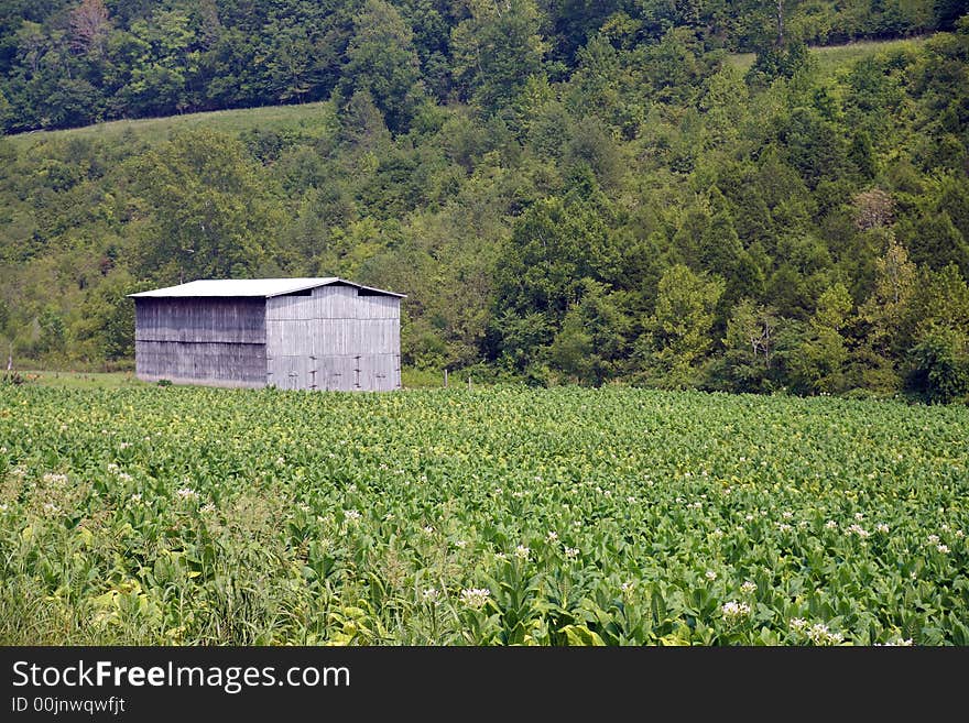 Road Side Barn