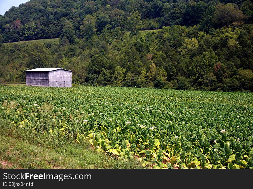 Road Side Barn