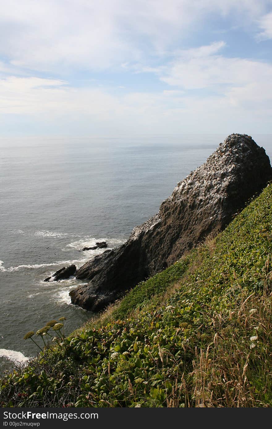 Oregon Coast