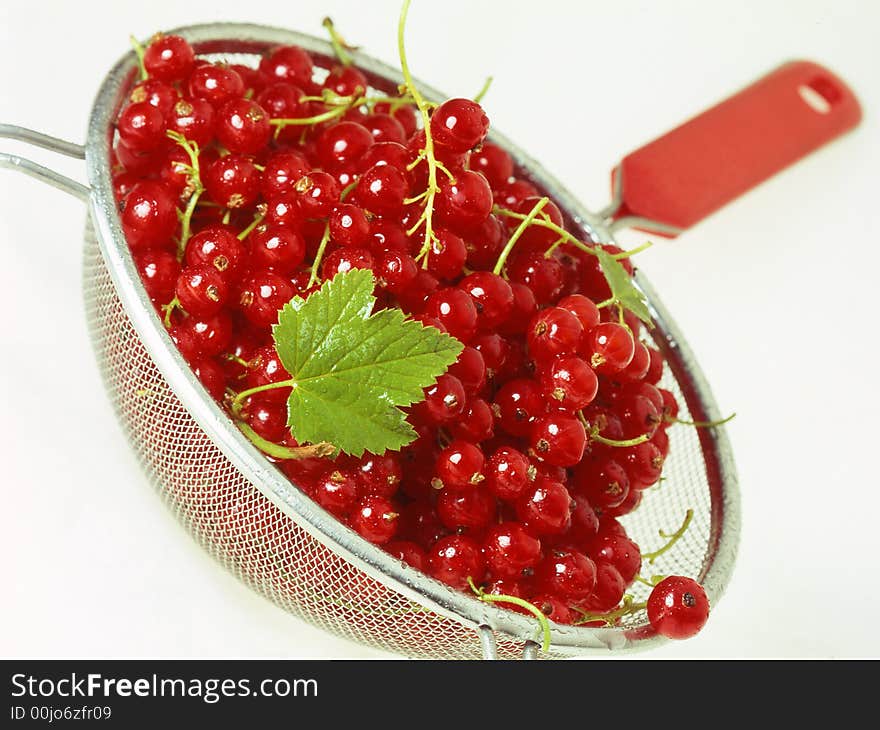 Red currant