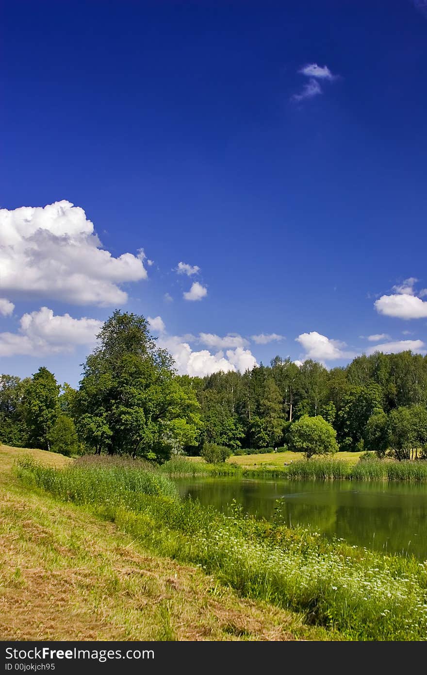 Green Pond Under Blue Sky