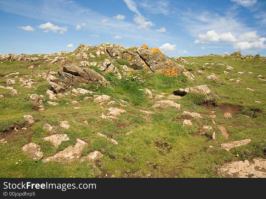 Kynance cliff top