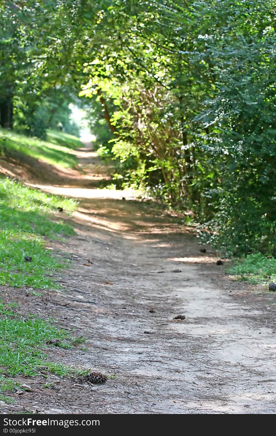 A quiet woodland path to a small lake. A quiet woodland path to a small lake