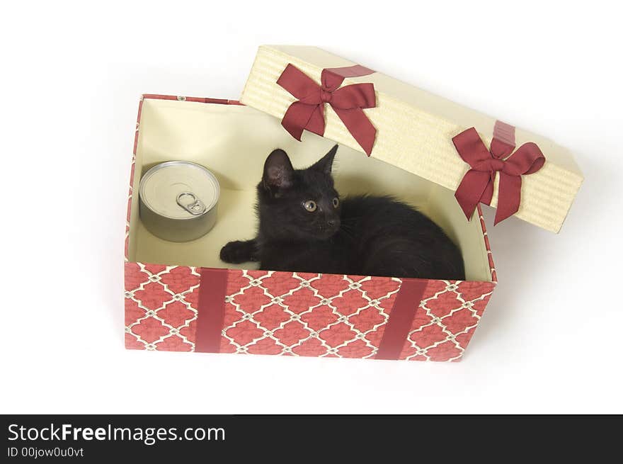 A black kitten sits inside of a gift box on white background. A black kitten sits inside of a gift box on white background