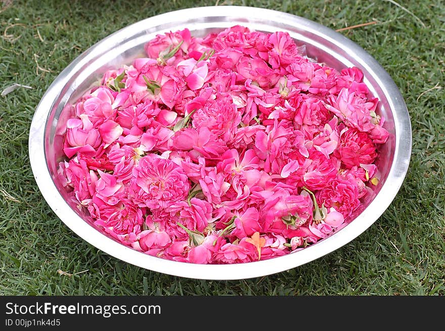 Flowers Petals in a Plate