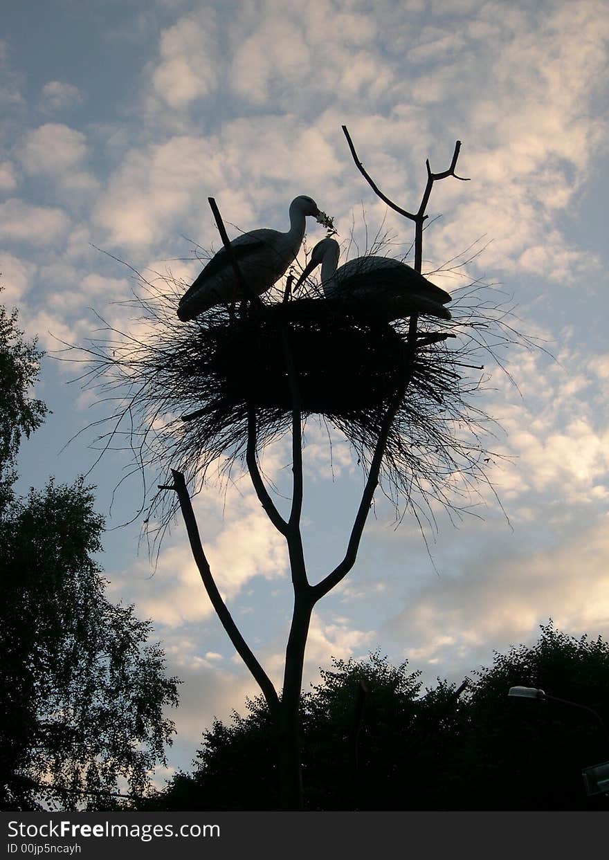 Silhouette of pair storks on a jack on a decline of day