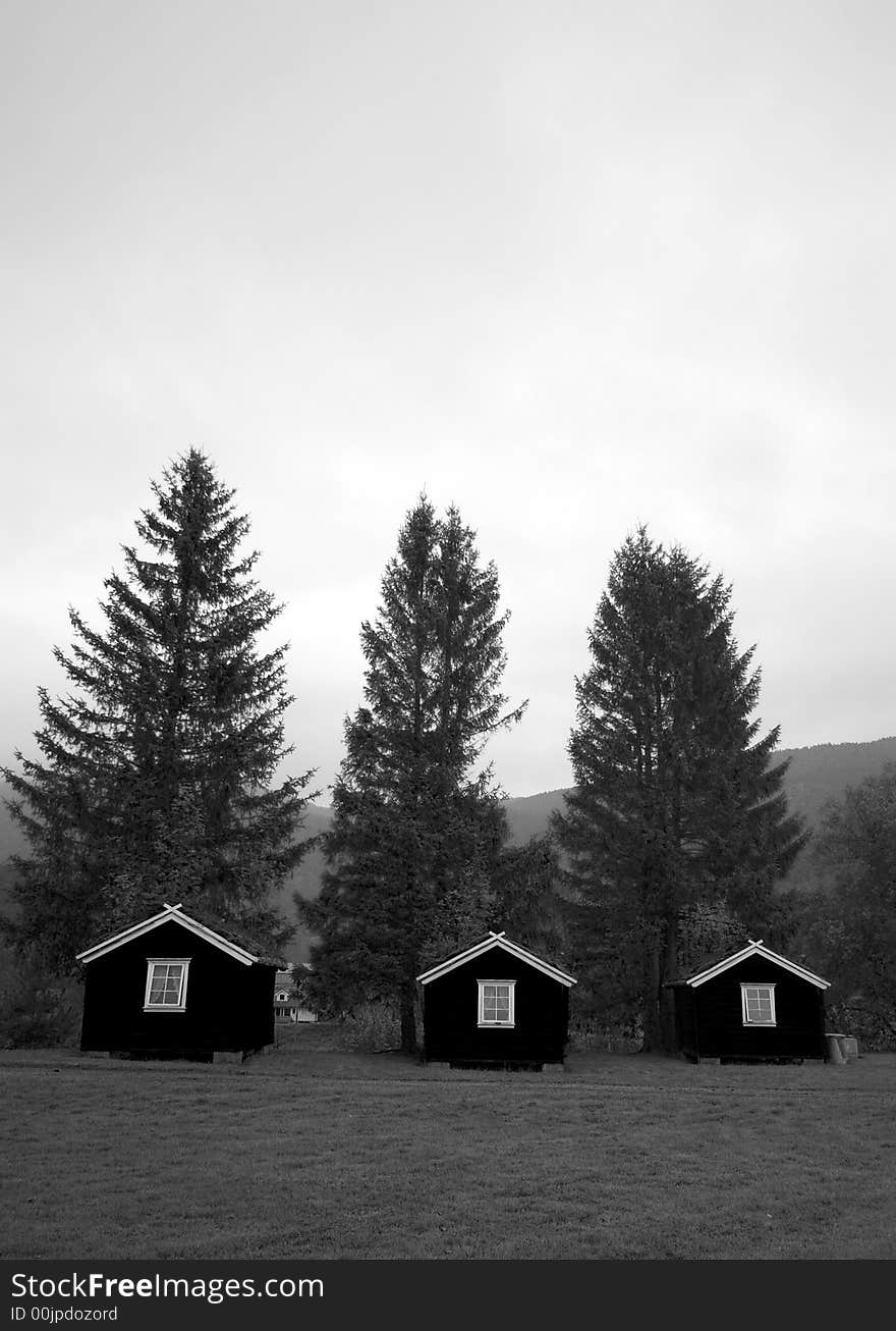 Three Norwegian huts, their roofs covered with grass, three trees behind, some copy space. Monochrome black and white. BEAUTY OF NORWAY COLLECTION ». Three Norwegian huts, their roofs covered with grass, three trees behind, some copy space. Monochrome black and white. BEAUTY OF NORWAY COLLECTION »