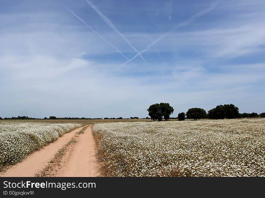 Alentejo