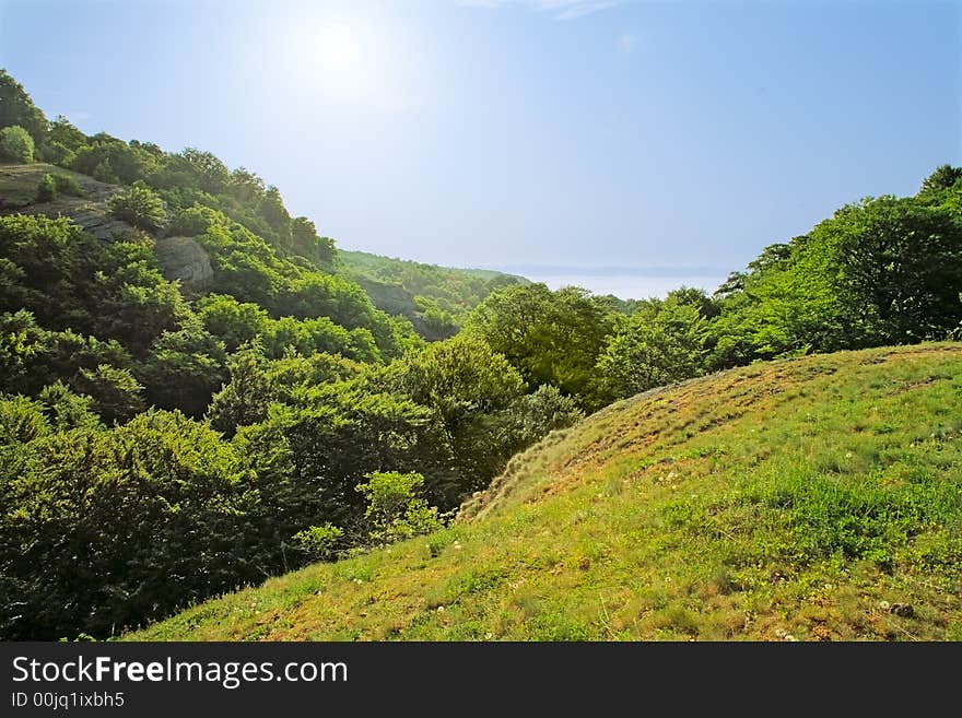 The mountain road which was surrounded in the fresh green. The mountain road which was surrounded in the fresh green