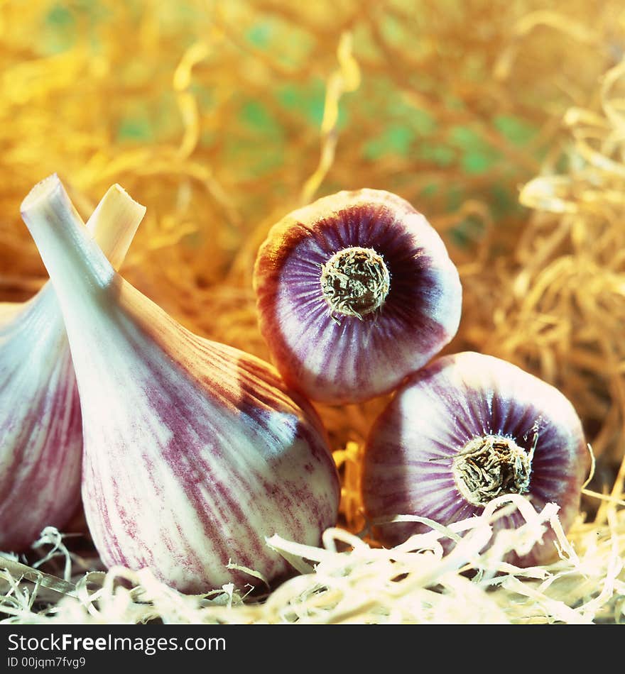 Garlic on a background of white color