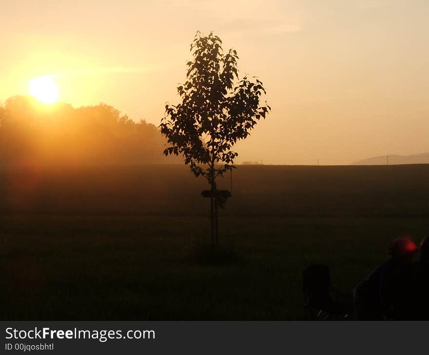 Sunset And Tree