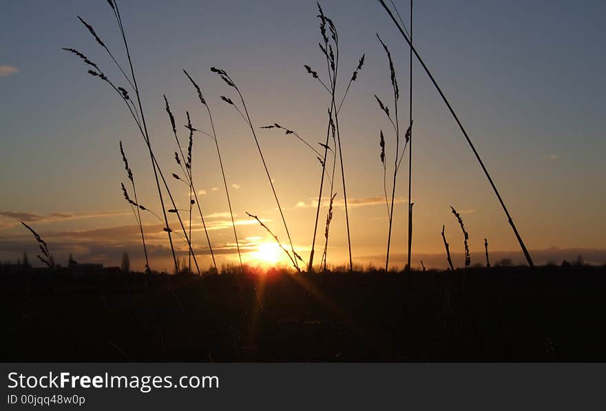 Sunset Over Fields In UK