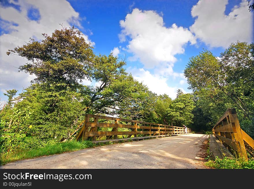 Summer landscape. Bridge in park