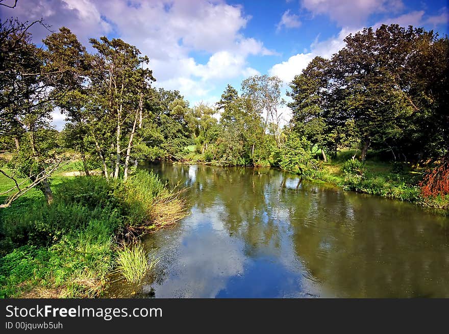 Summer landscape. River and trees