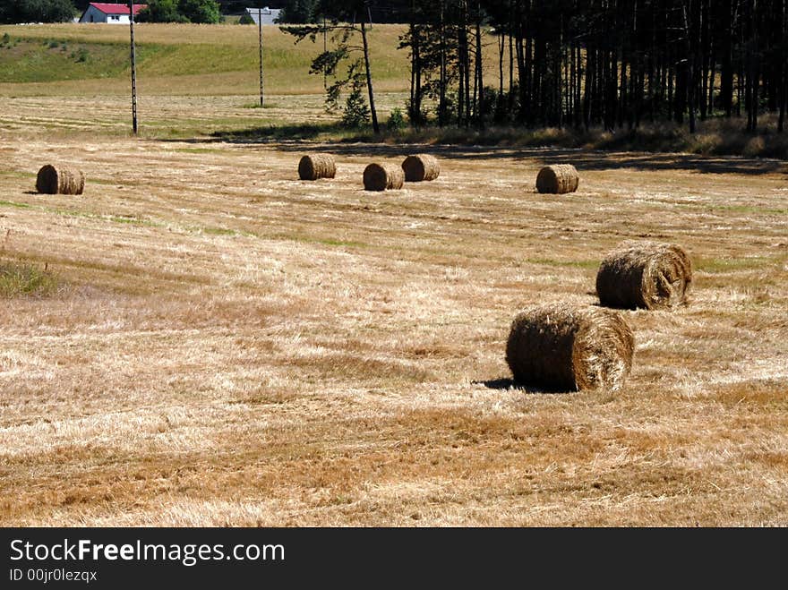 Fall Hay Bale