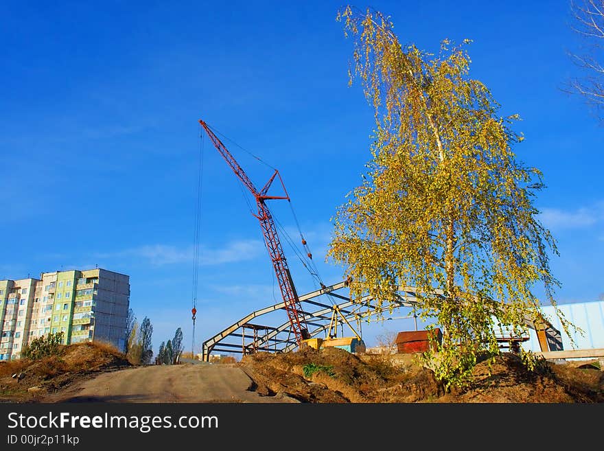 A crane and birch. Construction works with a crane. Shot in Poltavska region, Ukraine