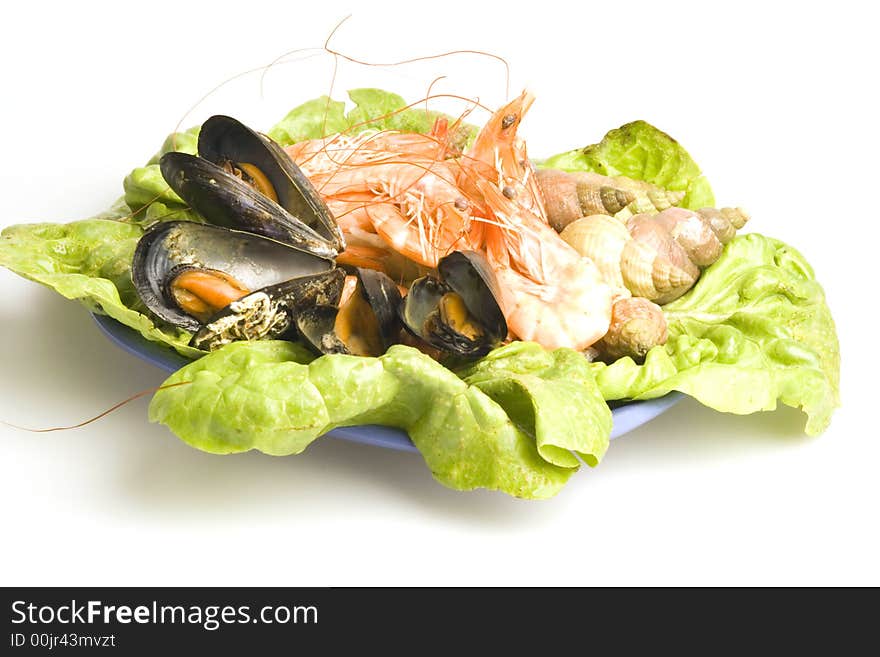 Fresh and delicious seafood meal: mussels, shrimps, seashells ( whelks)