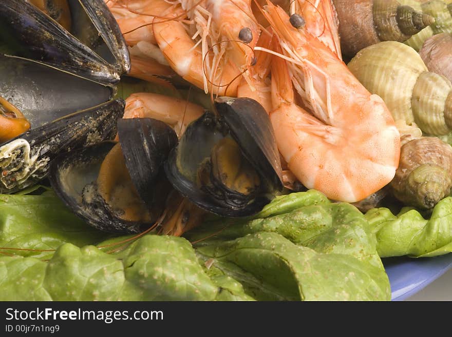 Fresh and delicious seafood meal: mussels, shrimps, seashells ( whelks)