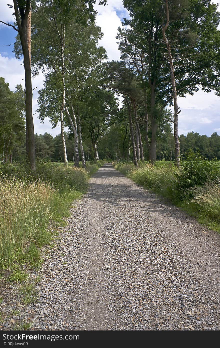 Rural Path