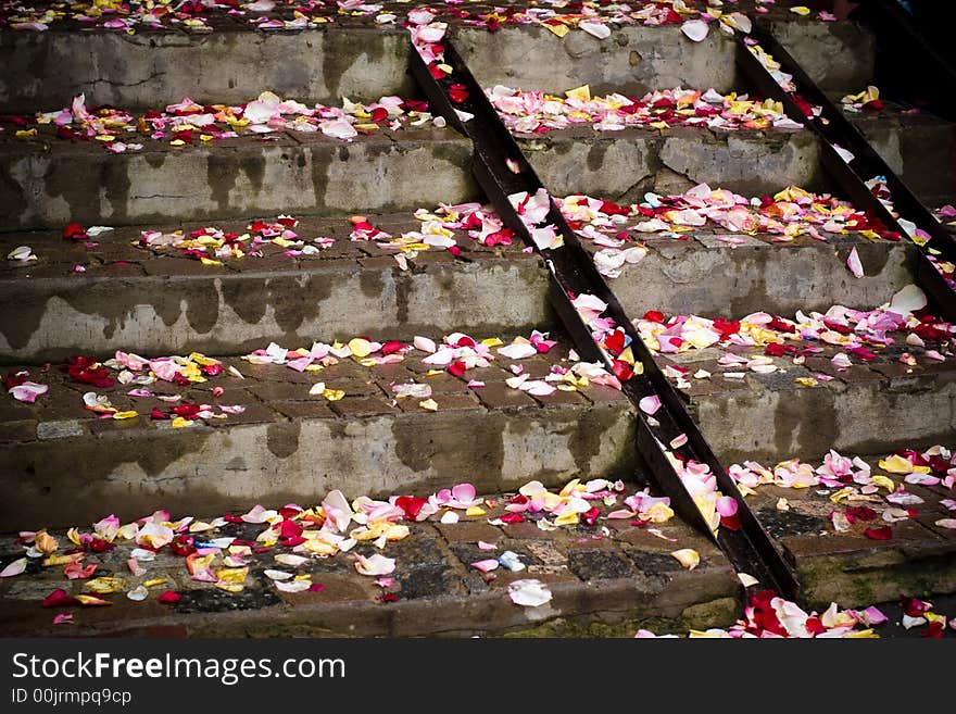 Rose-petals on stairs