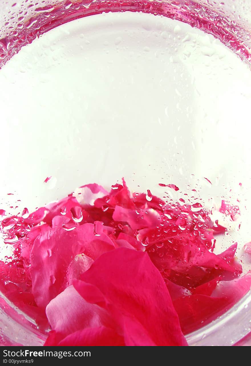 Abstract compozition: backgroud with roses petals