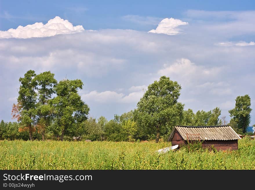 Summer Landscape