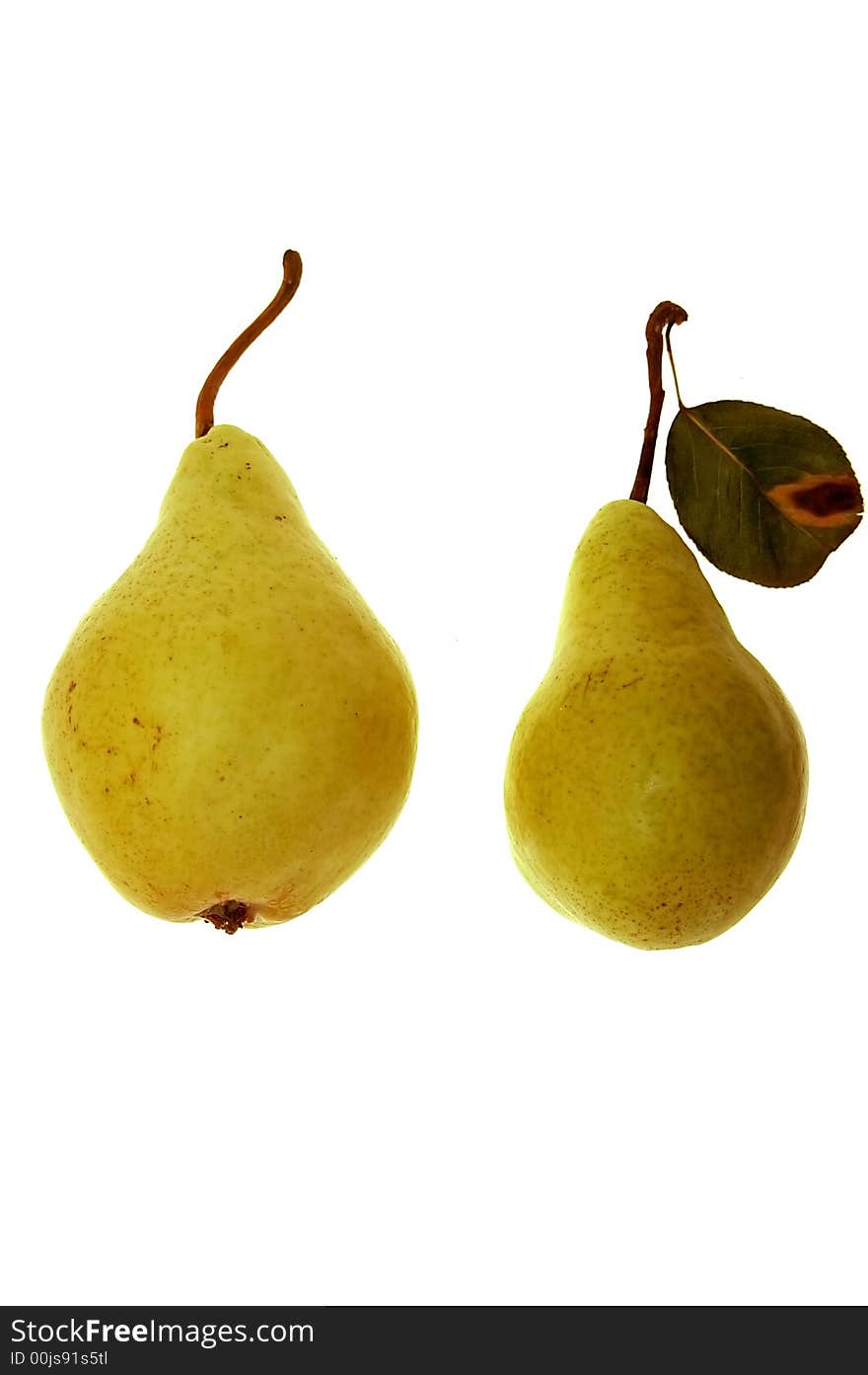 Two pears isolated on white background. Two pears isolated on white background