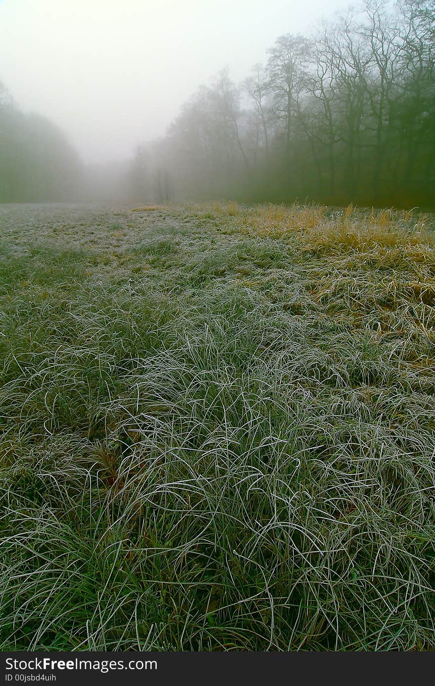 First frosts.