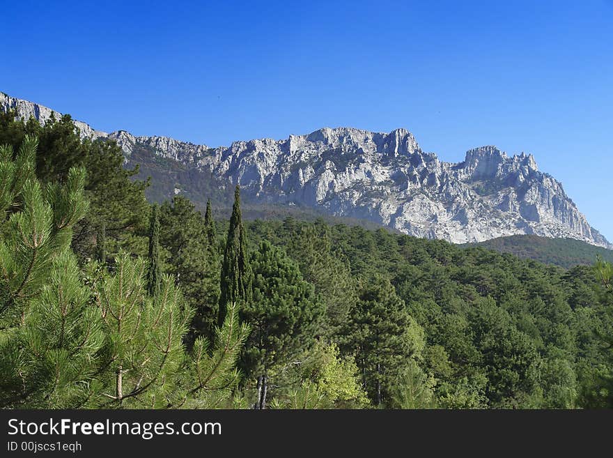 Mountains, forest, sky... and somewhere beside the sea. Mountains, forest, sky... and somewhere beside the sea