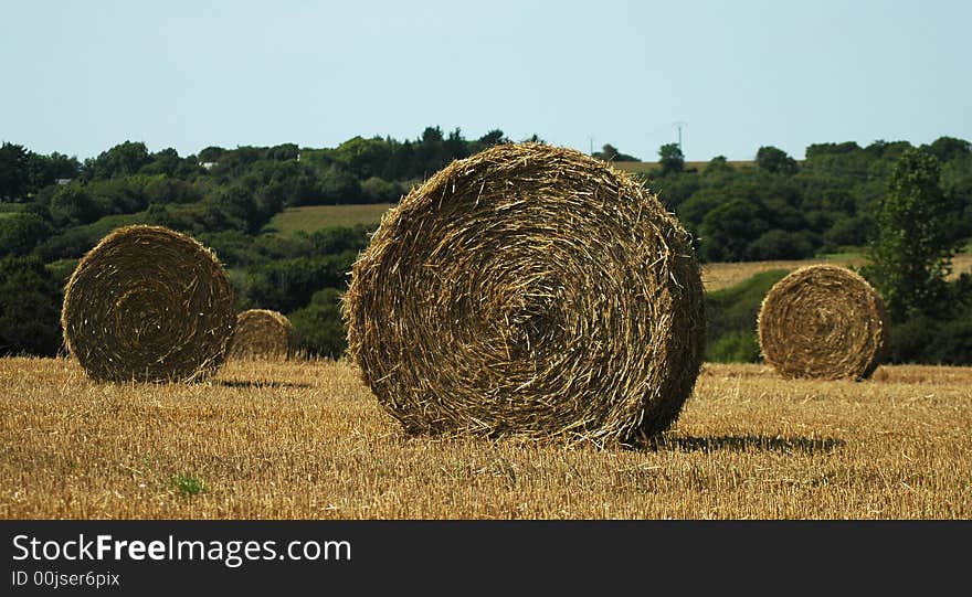 Blocks of straw drying in the sun in brittany. Blocks of straw drying in the sun in brittany