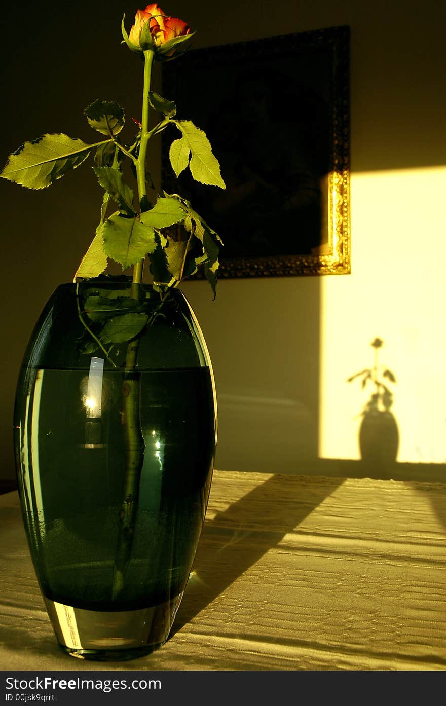 Photo of red rose in the vase on the table