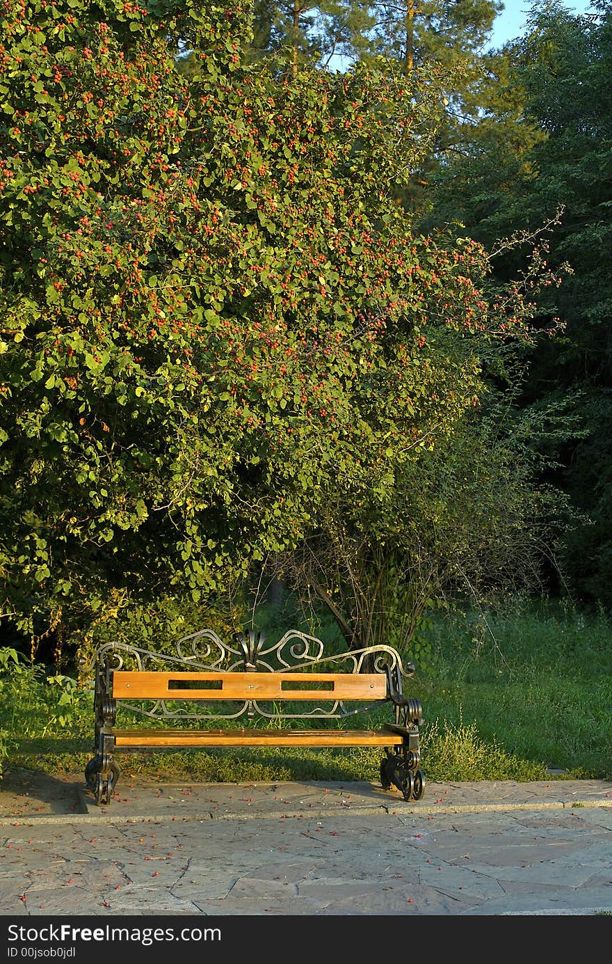 Bench costing under a tree in park