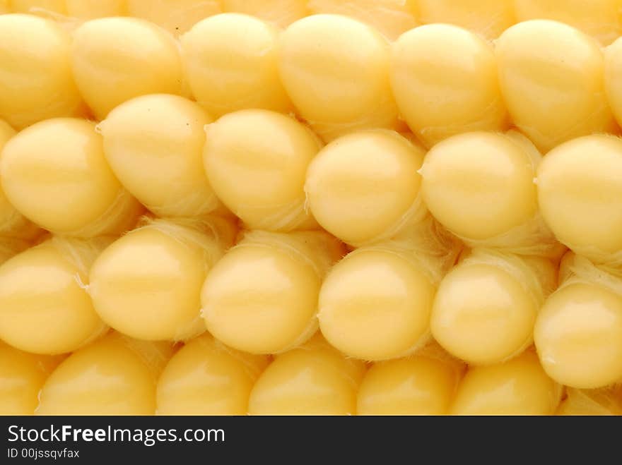 Close up of corn cob