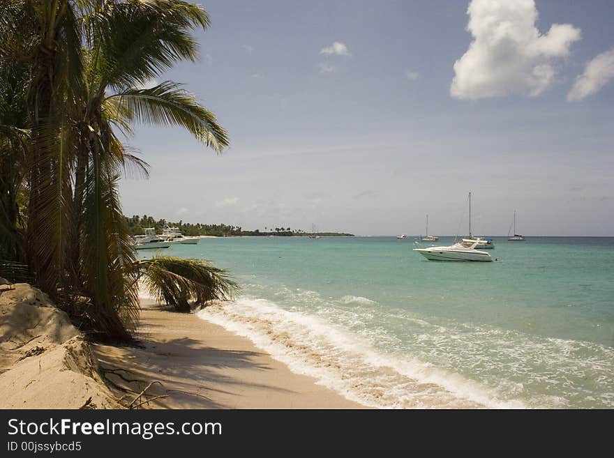 Tropical beach with palm trees and a boat. Tropical beach with palm trees and a boat