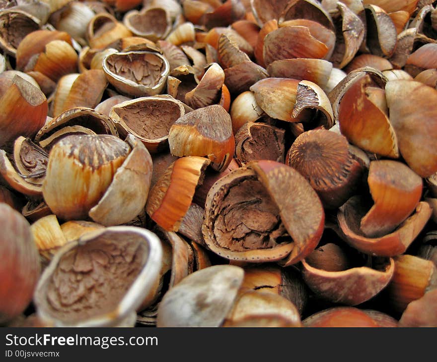 A pile of broken hazelnut shells used as ground covering at a local winery in Carlton Oregon. A pile of broken hazelnut shells used as ground covering at a local winery in Carlton Oregon