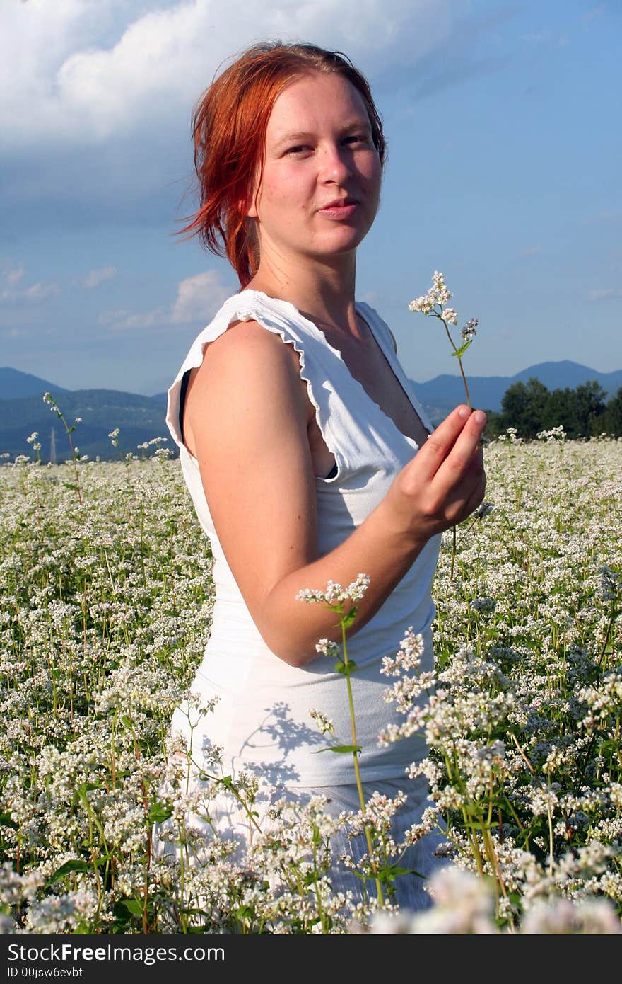 Buckwheat field in the middle of Slovenia