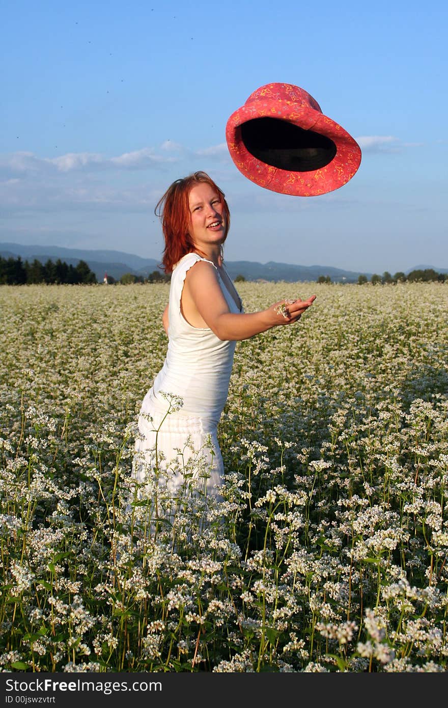 Buckwheat field in the middle of Slovenia