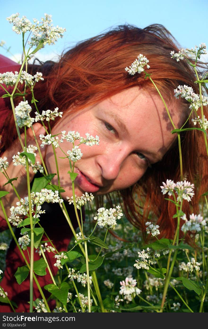 Buckwheat