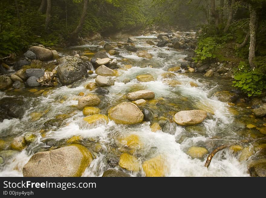 Stream in the Kachkar park in north east Turkey