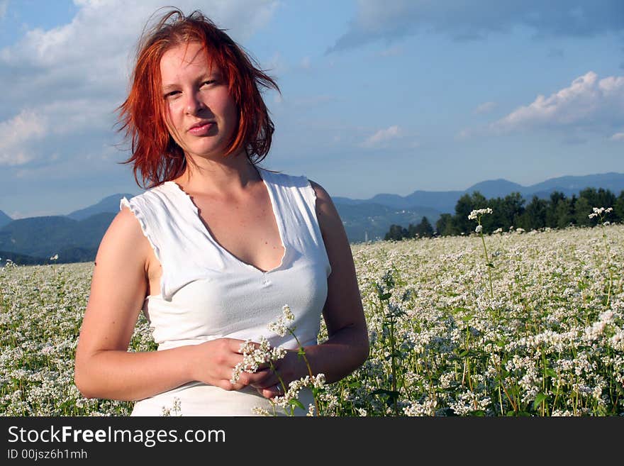 Buckwheat field in the middle of Slovenia