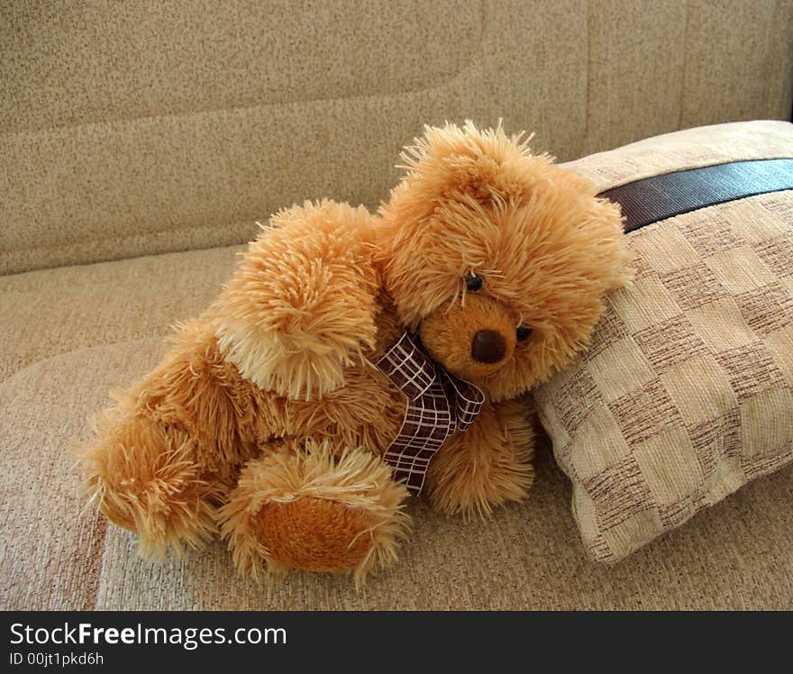 A teddy bear placed lying on the pillow on the sofa. A teddy bear placed lying on the pillow on the sofa