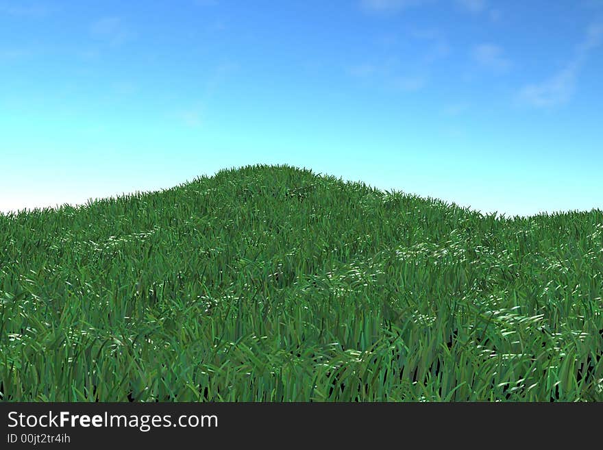 Green grass and blue sky. Green grass and blue sky