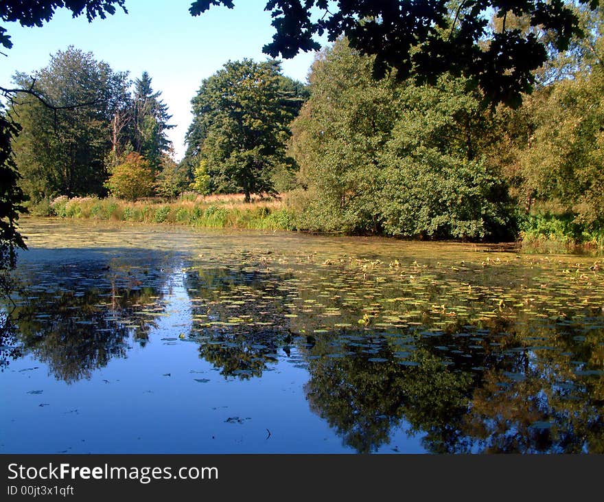 Taken from one of the walks around Weston Lake near Stafford