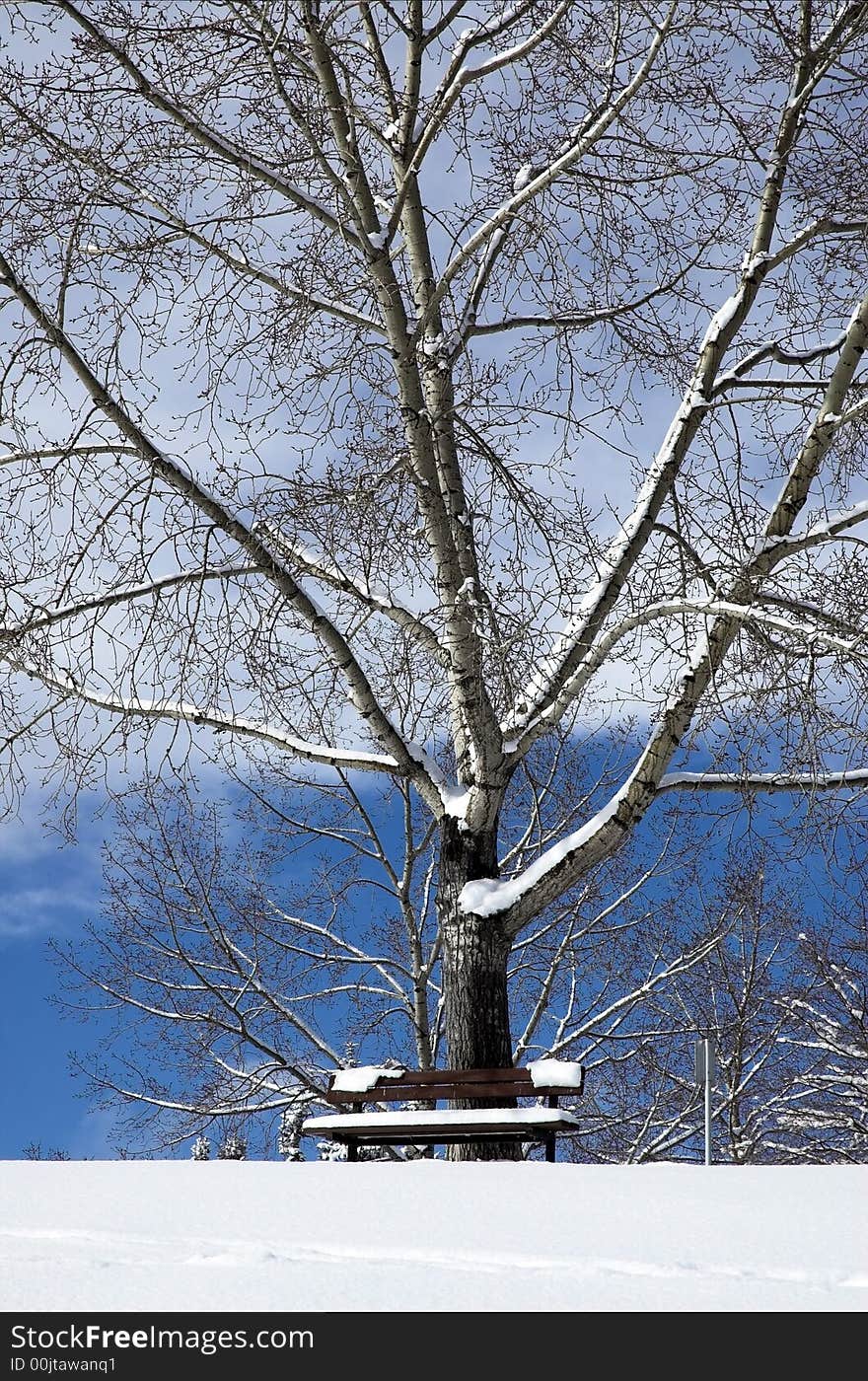 Winter bench