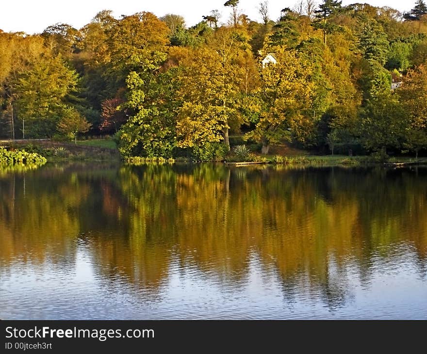 Lakeside reflections on a fall morning on an Irish Lake. Lakeside reflections on a fall morning on an Irish Lake