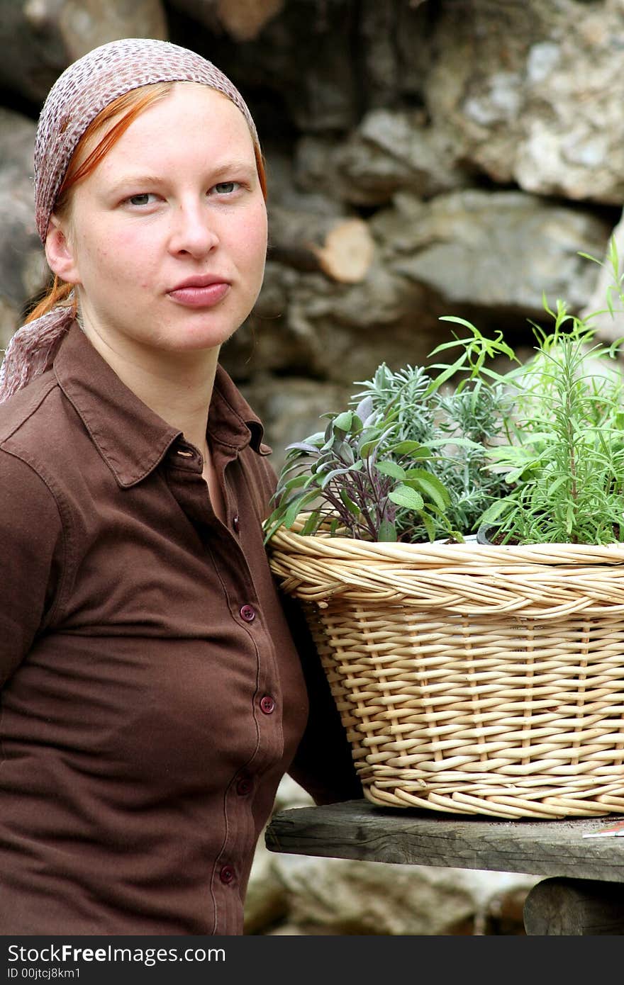 Herbs pot planting to growth inside in the house