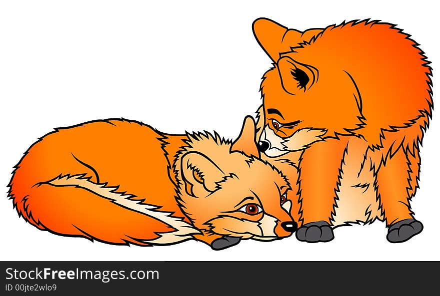 Two Foxes 1  - coloured cartoon illustration as vector