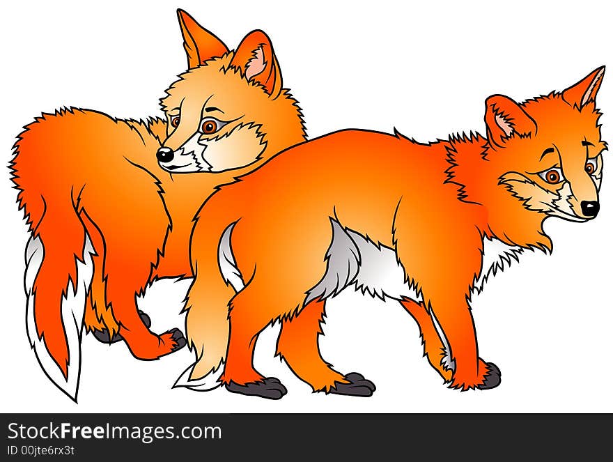 Two Foxes 2  - coloured cartoon illustration as vector