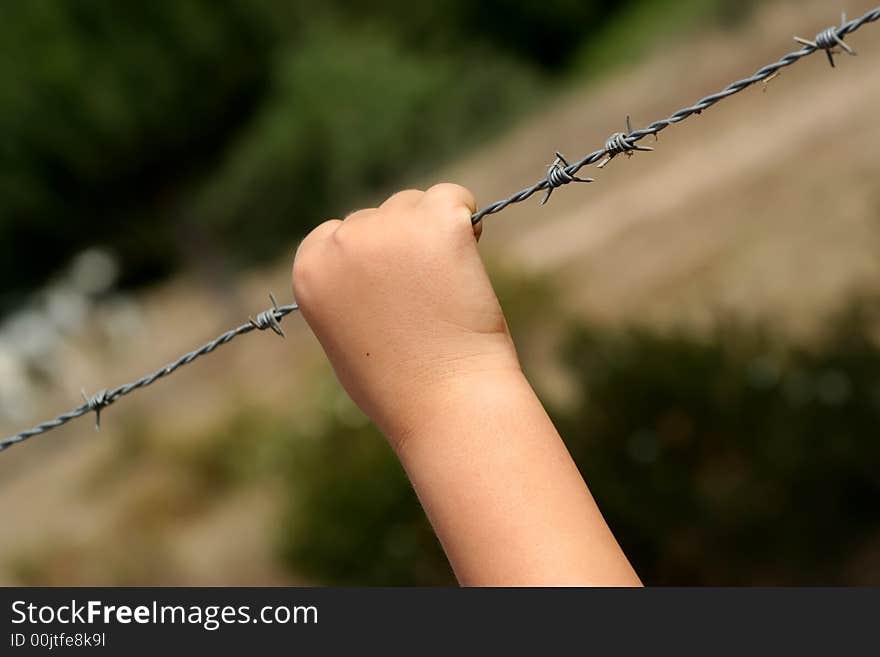 Hand of a child in a barbed wire. Hand of a child in a barbed wire