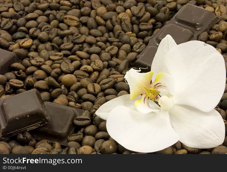 Coffee, chocolate and white flower. Coffee, chocolate and white flower